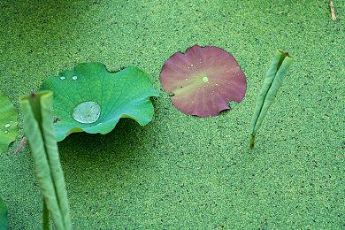 FPS恐怖游戏名作《背叛者》回归 免费登陆GOG